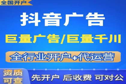 大型SEM服务公司案例分析